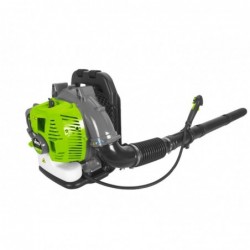 Soffiatore professionale...