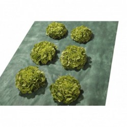 Telo pacciamante 1x15 m...