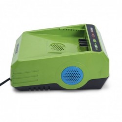 Caricabatterie WARRIOR 60V...