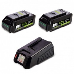 Confezione da 2 batterie al...