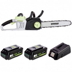 Motosega a batteria 40V + 2...