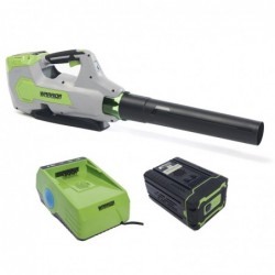 Soffiatore a batteria 60V...